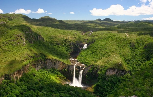 Bons Lugares Para Fotografar Vida Selvagem Parque Nacional Das Emas Biofaces 5619