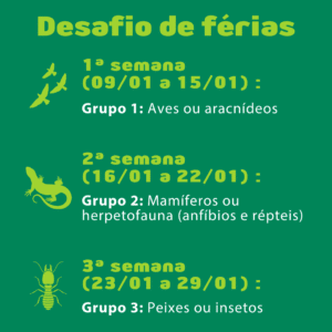 Semanas temáticas do Desafio de Férias