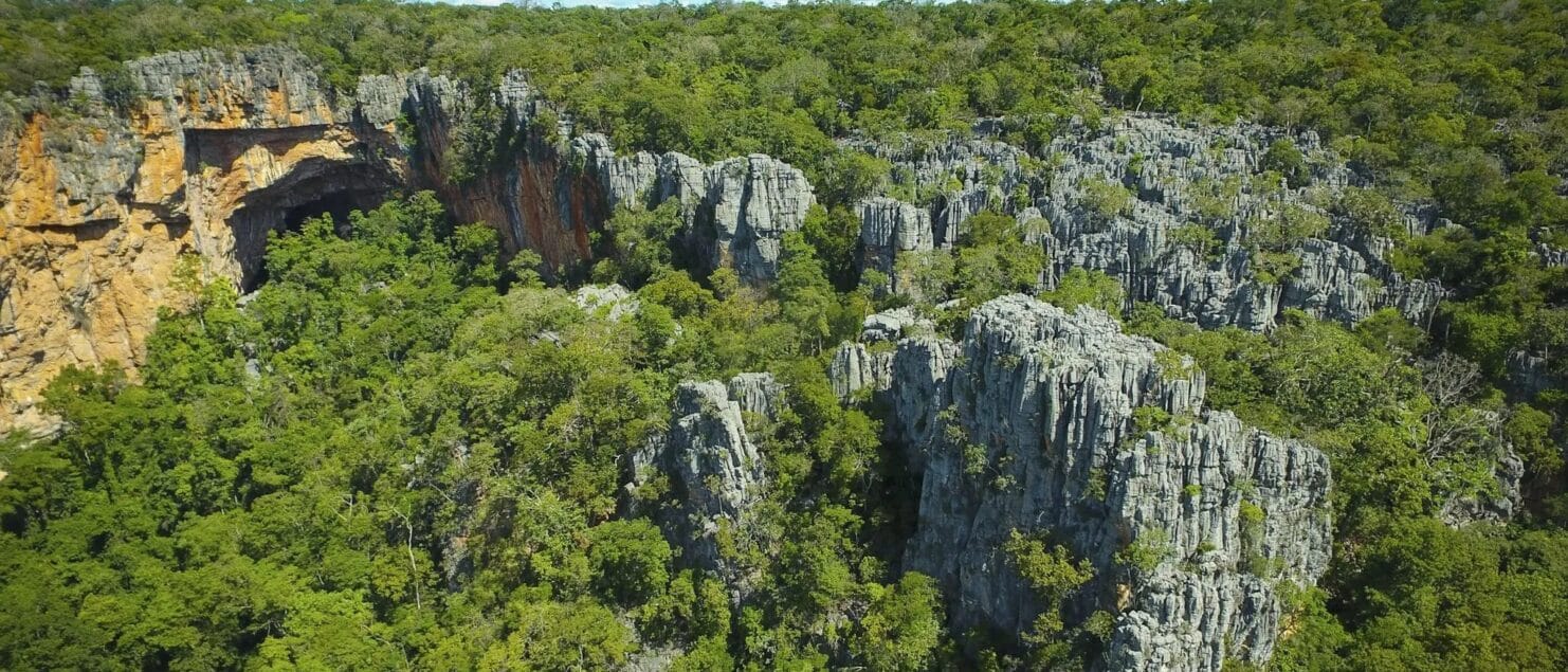 Imagens aéreas do Parque Nacional Cavernas do Peruaçu. Foto: Alexandre Lobo