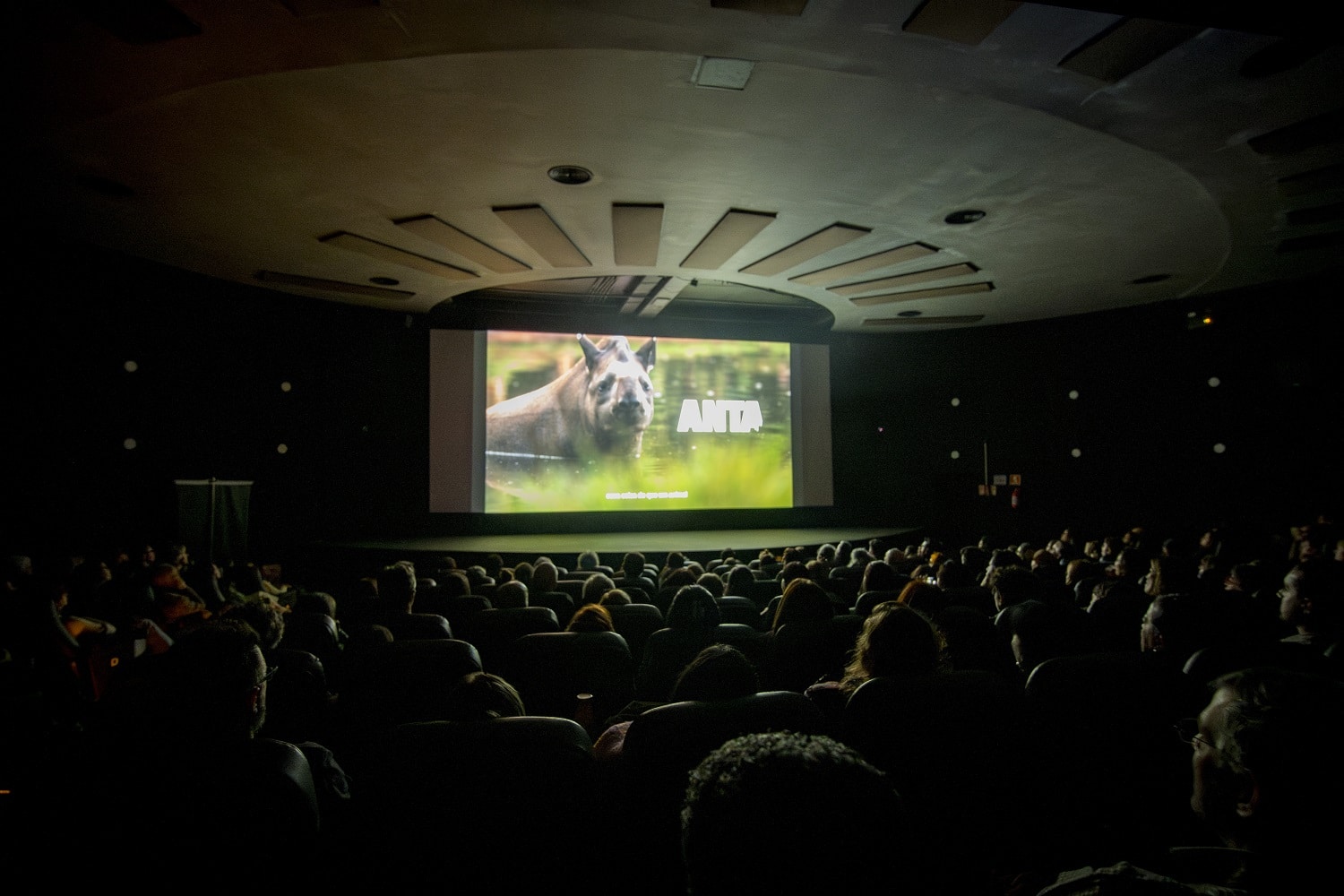 Anta: O Filme sendo transmitido no cinema em uma das sessões de estreia.