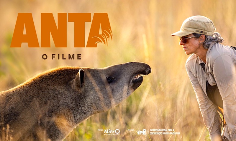 Banner de divulgação do documentário Anta: O Filme.
