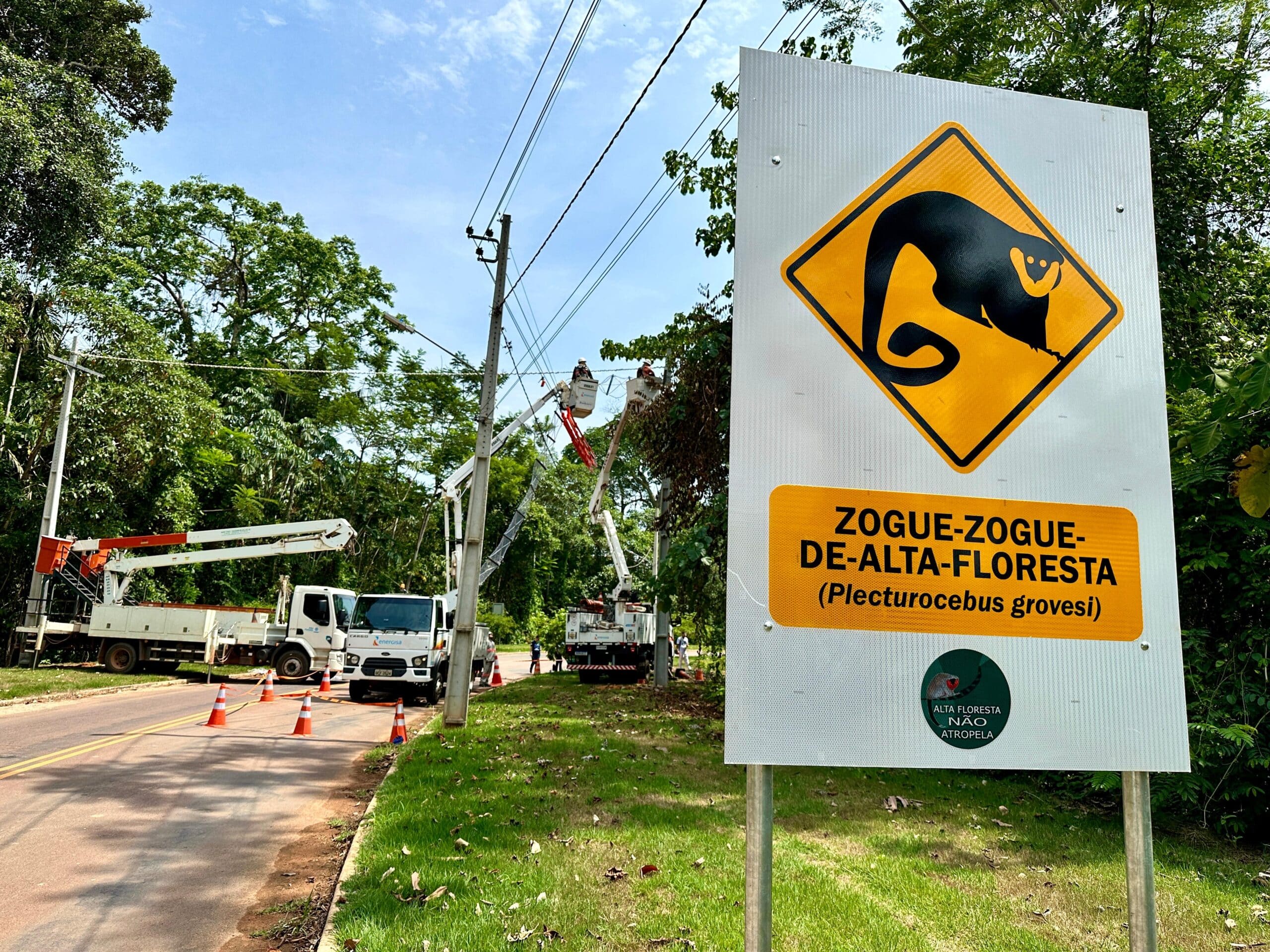 Instalação das pontes de dossel do programa Alta Floresta Não Atropela.
